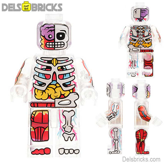 Human Body Transparent Visible Anatomy Man Lego Minifigures custom toys