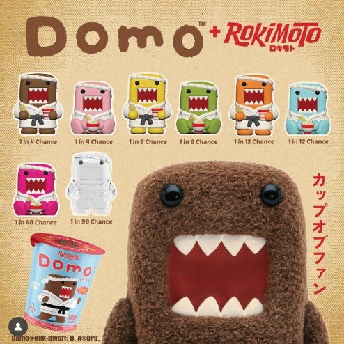 Funmaker Inc. ROKIMOTO x DOMO Series One Blind Cup - DelsBricks Toys & CollectiblesDelsBricks Toys & CollectiblesRalphie's Funhouse
