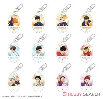 Haikyu!! Round Keyring Blind Box - Trading Character Keychain (1 Random) - DelsBricks Toys & CollectiblesKeychainDelsBricks Toys & CollectiblesSuper Anime Store