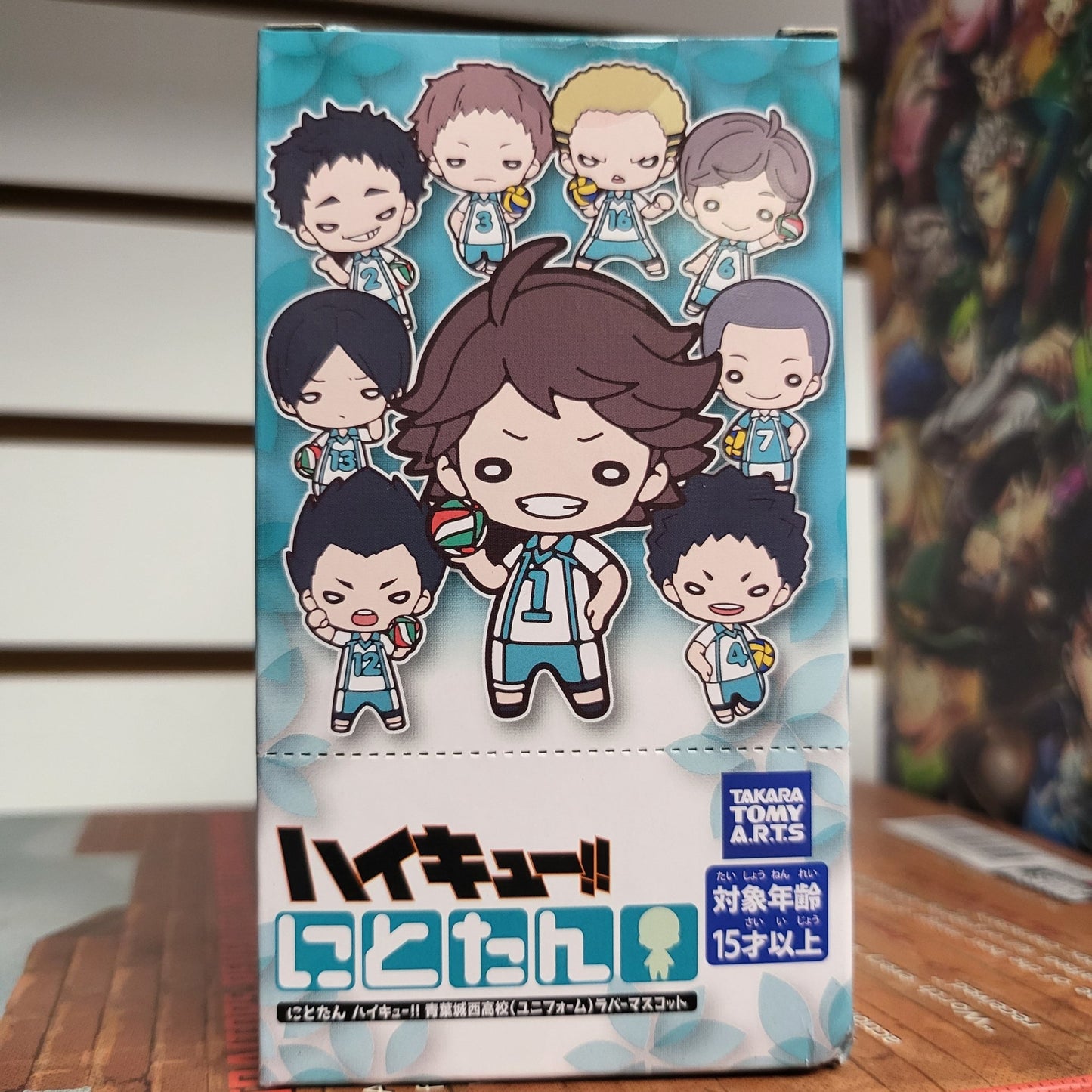 Haikyuu Rubber Keychain Blind Box - DelsBricks Toys & CollectiblesKeychainDelsBricks Toys & CollectiblesSuper Anime Store