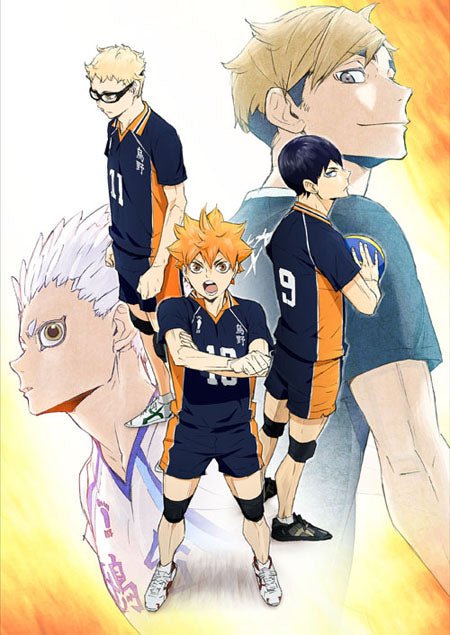 Haikyuu! Wallscroll - DelsBricks Toys & CollectiblesFiguresDelsBricks Toys & CollectiblesSuper Anime Store