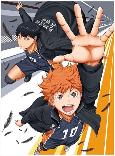 Haikyuu! Wallscroll - DelsBricks Toys & CollectibleswallscrollDelsBricks Toys & CollectiblesSuper Anime Store