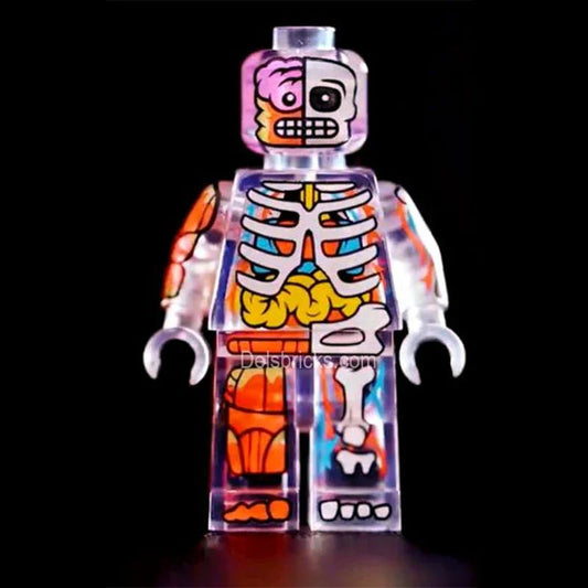 Human Body Transparent Visible Anatomy Man Lego Minifigures custom toys - DelsBricks MinifiguresLego Horror MinifiguresDelsBricks MinifiguresDelsbricks.com