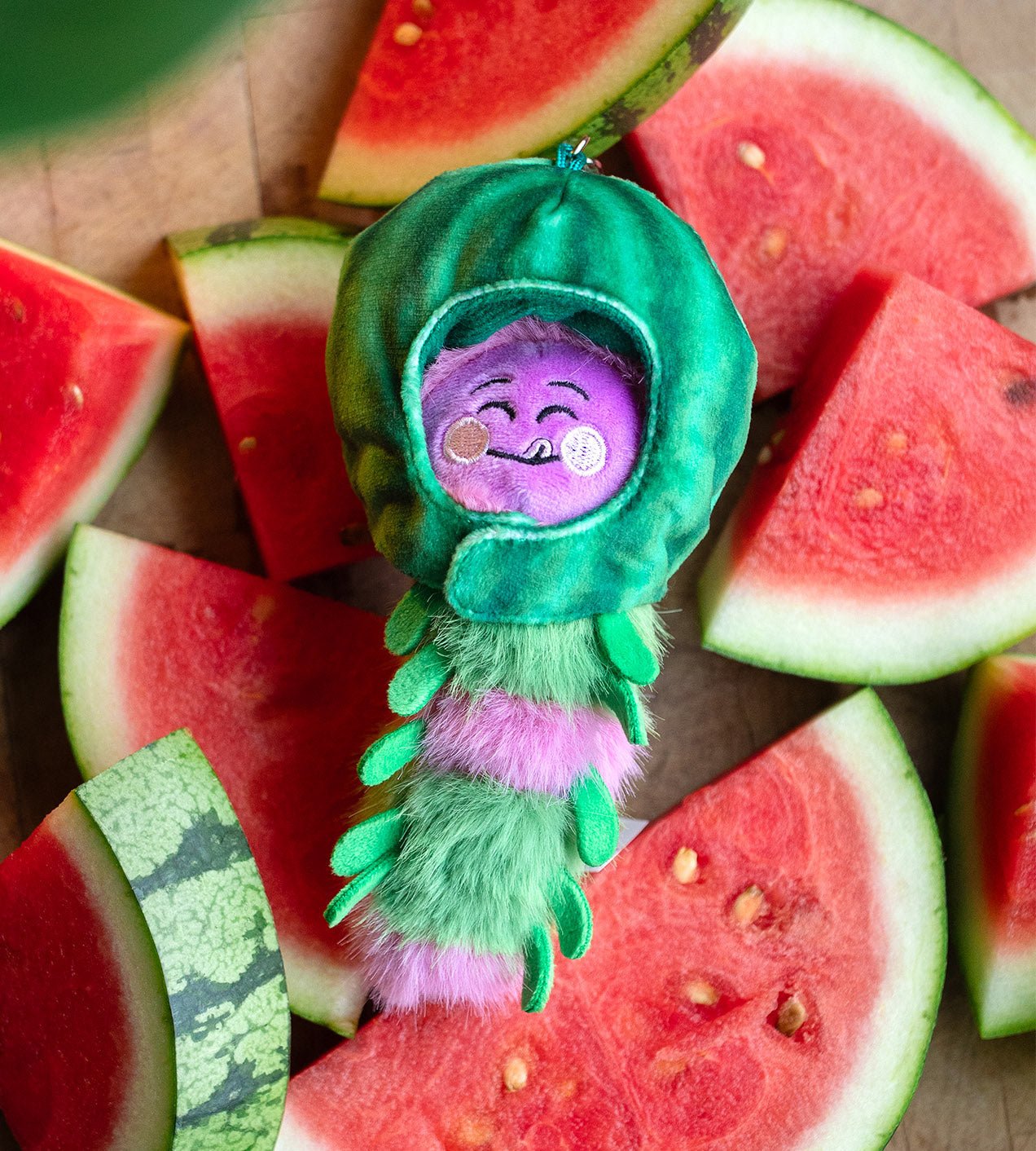 Kaleidos Creative: Wooly Bear and Friends Plush Keychain Blind Box - DelsBricks Toys & CollectiblesDelsBricks Toys & CollectiblesRalphie's Funhouse