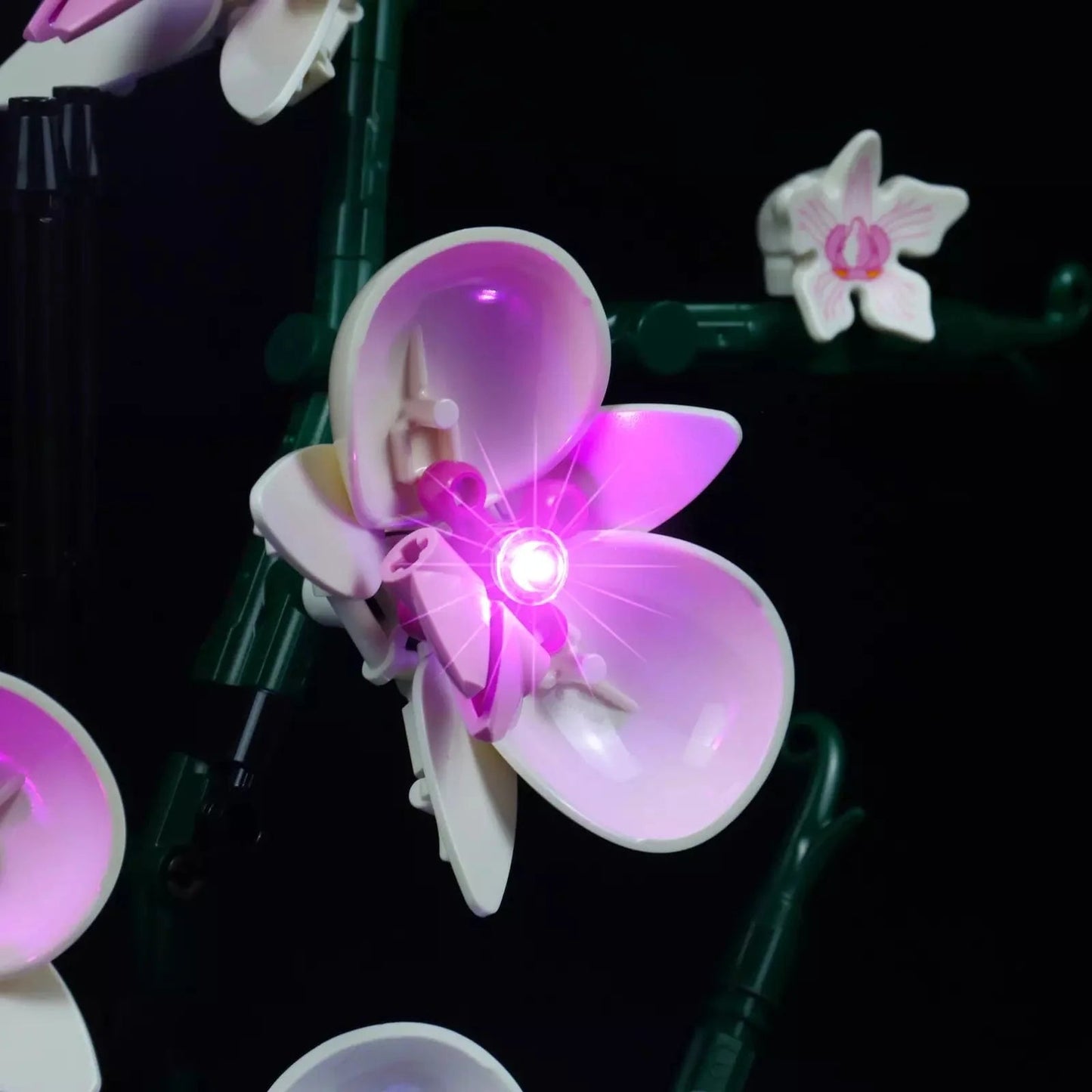 Light Kit for Orchid 10311 - DelsBricks Toys & CollectiblesLed Light Kit for LegoDelsBricks Toys & CollectiblesZENE