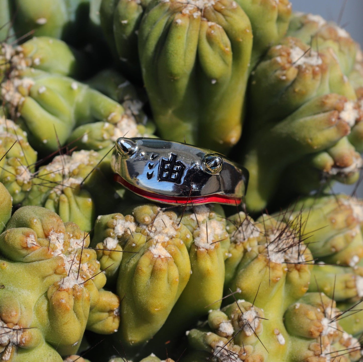 Naruto™ Jiraiya Headband Ring - DelsBricks Toys & CollectiblesRINGDelsBricks Toys & CollectiblesMISTERVERSE
