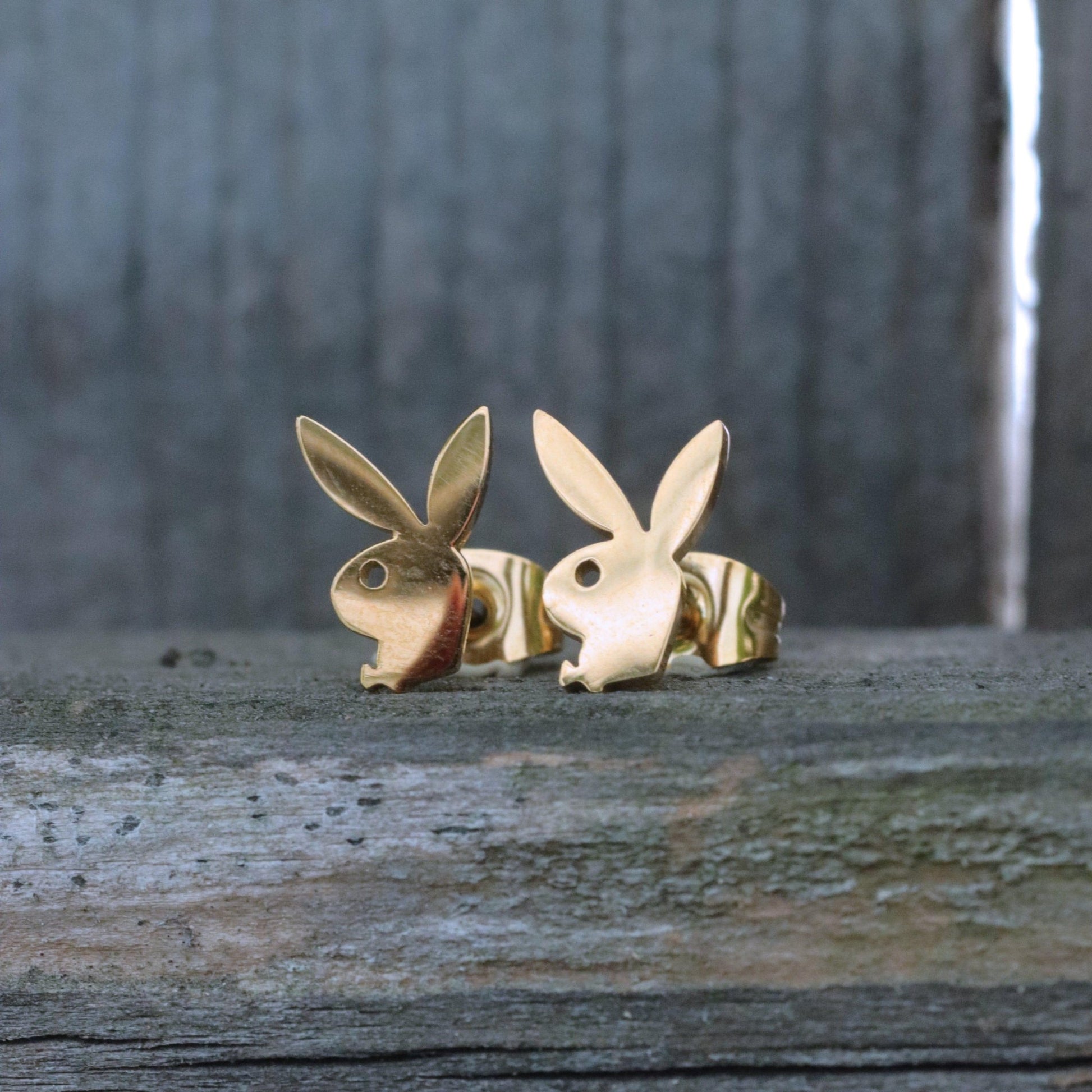 Playboy™ Stud Earrings - DelsBricks Toys & CollectiblesEARRINGDelsBricks Toys & CollectiblesMISTERVERSE