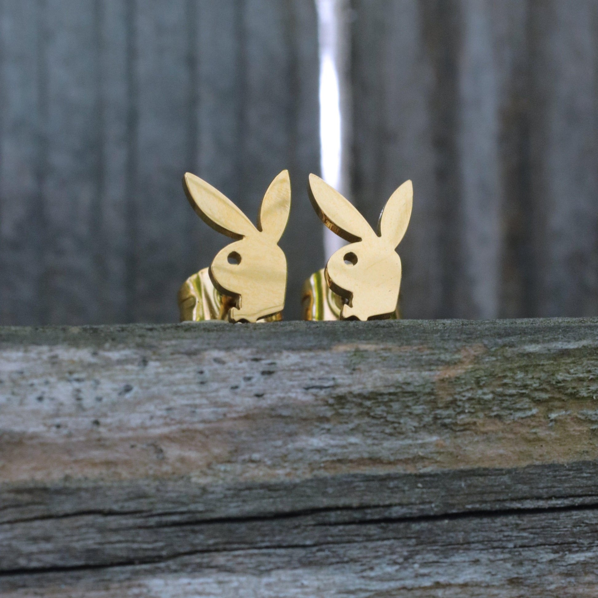 Playboy™ Stud Earrings - DelsBricks Toys & CollectiblesEARRINGDelsBricks Toys & CollectiblesMISTERVERSE