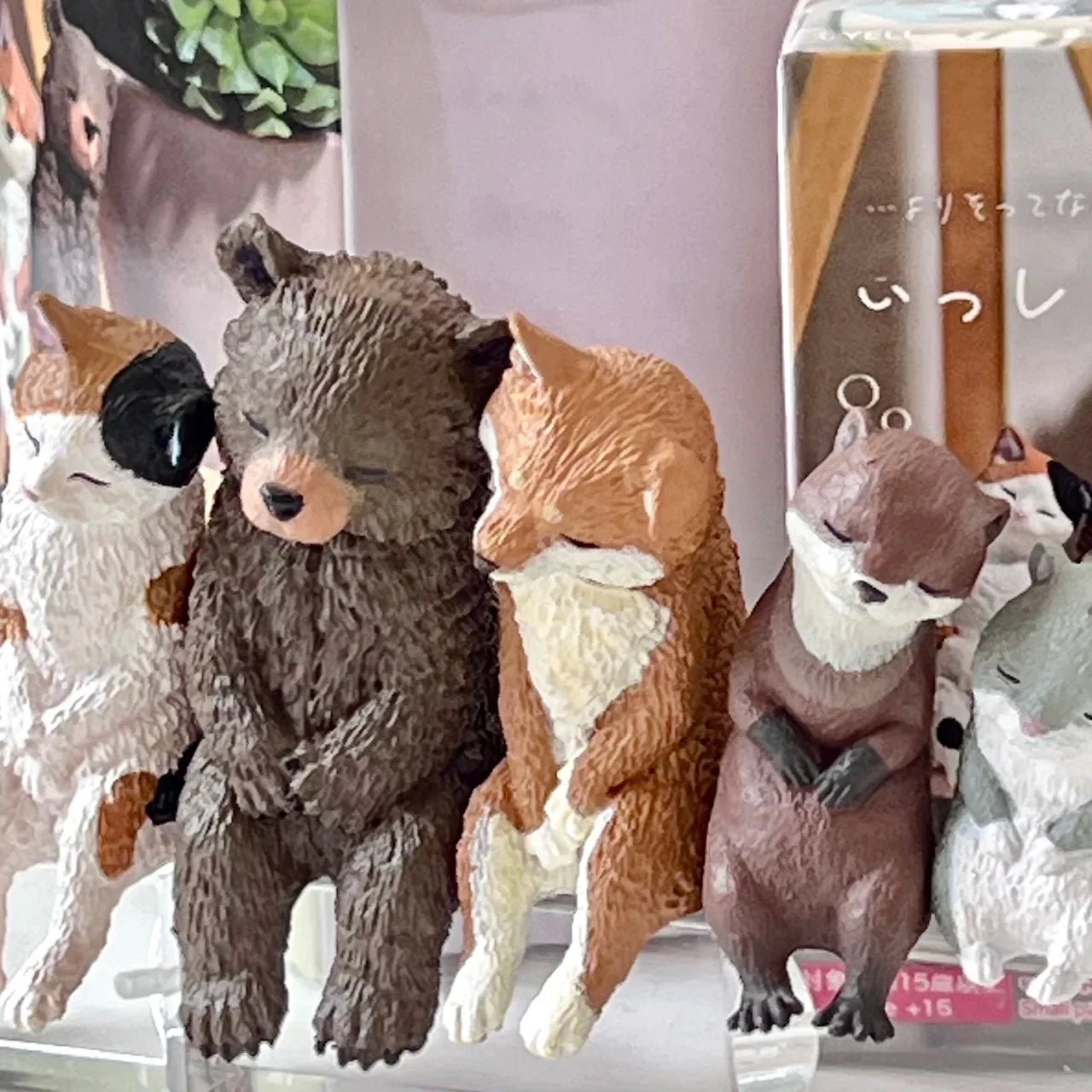 Sleepy Animals Figurine Blind Box - Cute Collectible Capsule Toy - DelsBricks Toys & CollectiblesFigureDelsBricks Toys & CollectiblesSuper Anime Store
