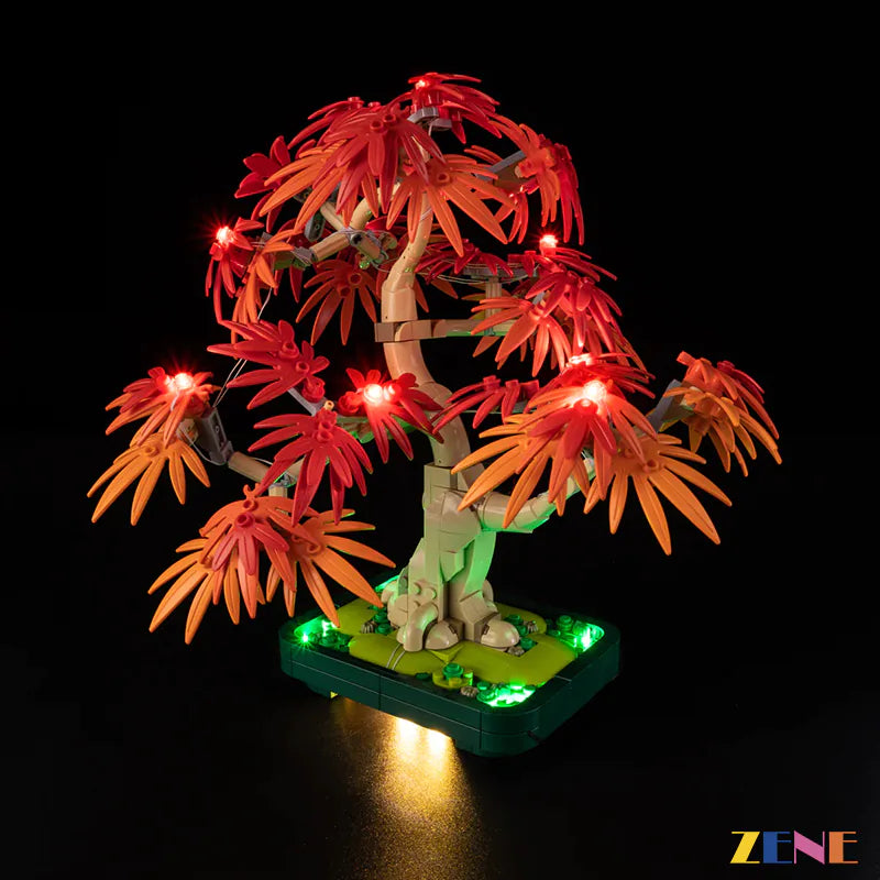 Light Kit for Japanese Red Maple Bonsai Tree #10348
