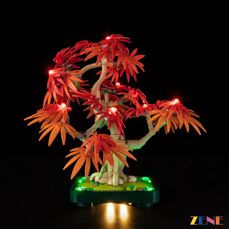 Light Kit for Japanese Red Maple Bonsai Tree #10348